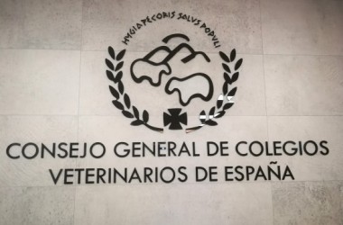 COMUNICADO DE LA ASAMBLEA DE PRESIDENTES DEL CONSEJO GENERAL DE COLEGIOS VETERINARIOS DE ESPAÑA SOBRE EL MEDICAMENTO VETERINARIO