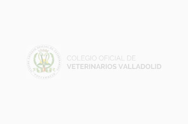 Apertura del Curso 2023 en la Academia de Ciencias Veterinarias de Castilla y León